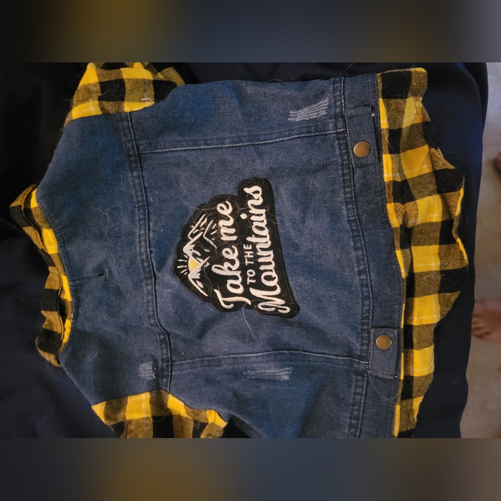 Dog shirt